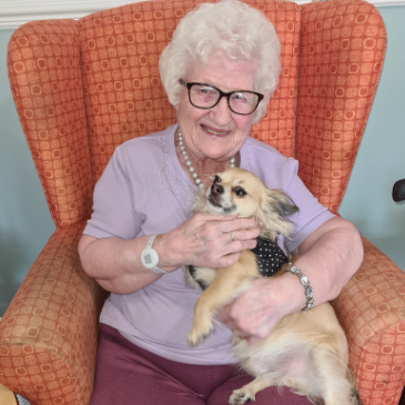 Lyn, our brilliant Activities Co-ordinator at Pennington Court, brought in her lovely dogs, Bolt and Gimzo for some cuddles.