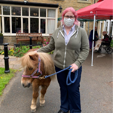 Hope Pastures ponies visit Headingley Hall