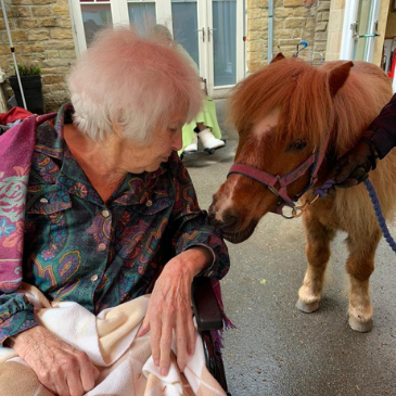 Headingley Hall resident meets one of Hope Pastures's ponies