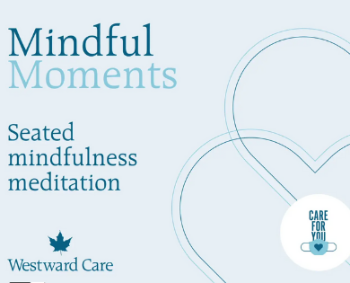 Seated Mindfulness Meditation
