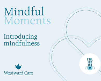 Introducing Mindfulness