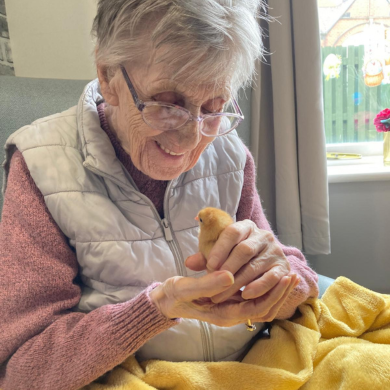 Chick hatching programme brings Easter spirit to Pennington Court